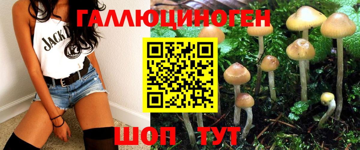 Людиново  Псилоцибиновые грибы Magic Shrooms  Вход с VPN 